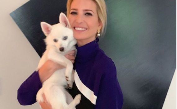 צלב קרס? הבגד של איוונקה טראמפ מעורר סערה ברשת