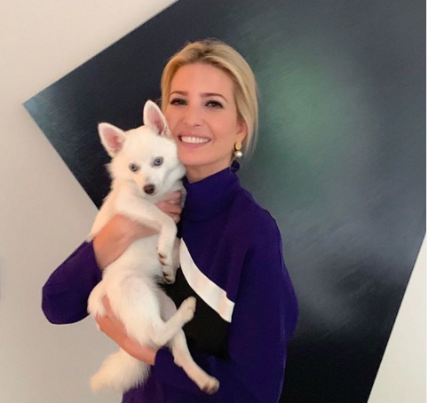 צלב קרס? הבגד של איוונקה טראמפ מעורר סערה ברשת