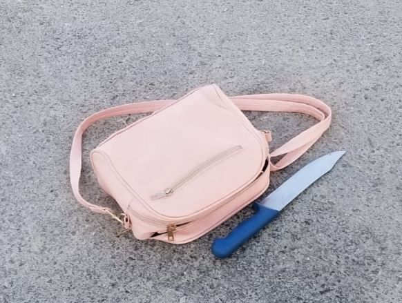 סוכל פיגוע: פלסטינית חמושה בסכין נתפסה בחברון