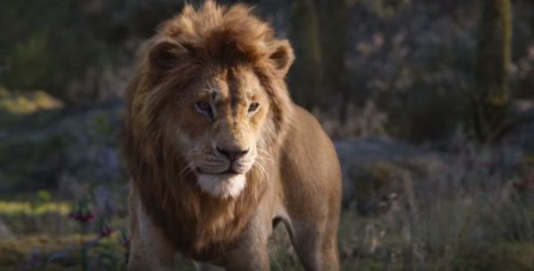 צפו: זה הדבר הכי טוב שיצא מהחידוש ל"מלך האריות"