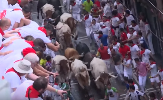 ספרד: 53 פצועים ב"ריצת השוורים" המסורתית