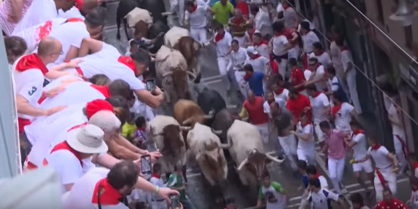 ספרד: 53 פצועים ב"ריצת השוורים" המסורתית