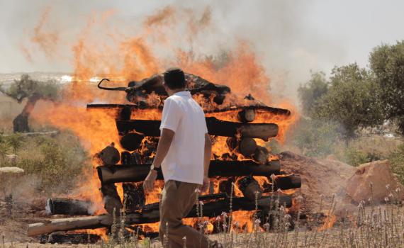 לקראת המקדש: ניסוי בשריפת פרה אדומה