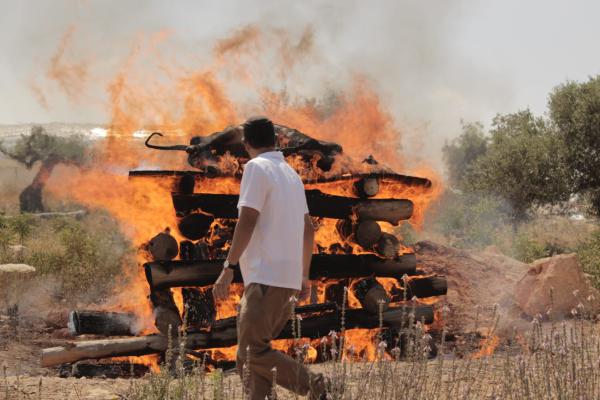 לקראת המקדש: ניסוי בשריפת פרה אדומה
