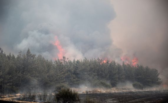 רגיעה בשריפות: 15 מבנים נפגעו, 7 פצועים