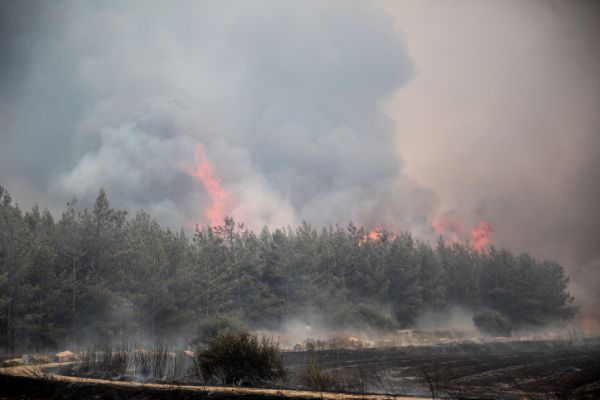 רגיעה בשריפות: 15 מבנים נפגעו, 7 פצועים