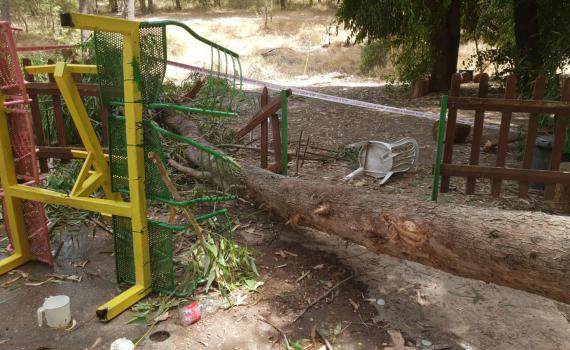 בעקבות מות הילד: צו סגירה הוצא נגד הפארק בלכיש