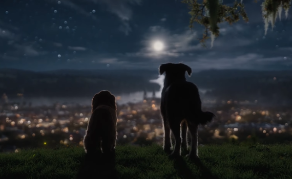 עם חיות אמיתיות: דיסני חושפת את הלהיט הבא.צפו