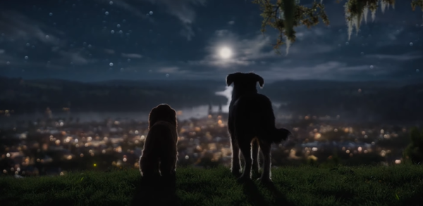 עם חיות אמיתיות: דיסני חושפת את הלהיט הבא.צפו