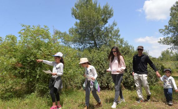 מה עושים באוגוסט? המדריך לחופש הגדול 2019