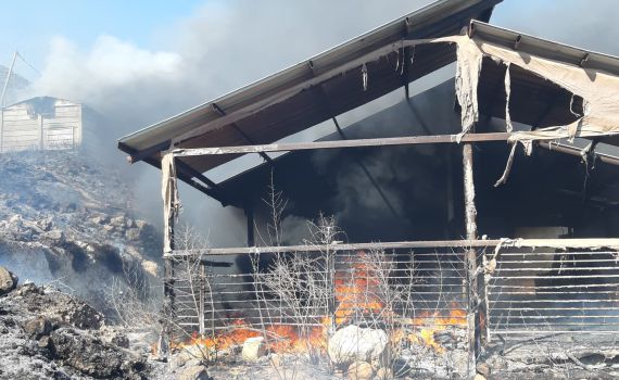 יצהר: ערבים הציתו שריפה, ארבעה מבנים עלו באש