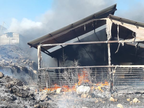 יצהר: ערבים הציתו שריפה, ארבעה מבנים עלו באש