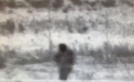 צפו: מחבל ניסה לחדור לישראל ונורה