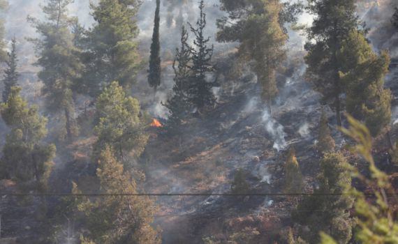 שריפות בעוטף ירושלים: היישוב בית מאיר פונה