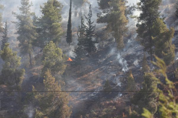 שריפות בעוטף ירושלים: היישוב בית מאיר פונה