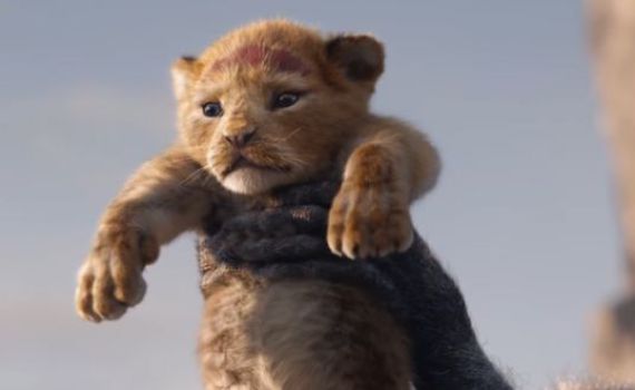 ענק: כשהלהיט של 'מלך האריות' הפך לשיר חופות