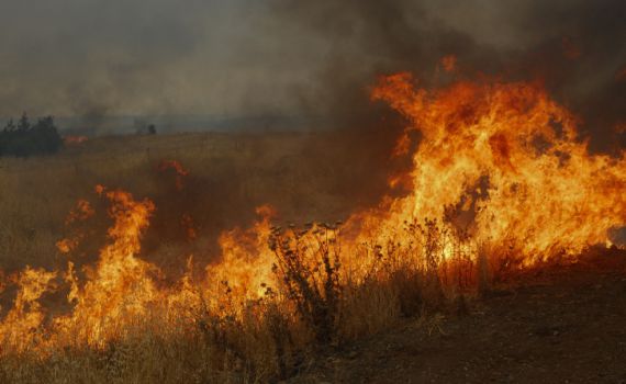 לא רק בדרום: חיזבאללה החלו בטרור הצתות בצפון