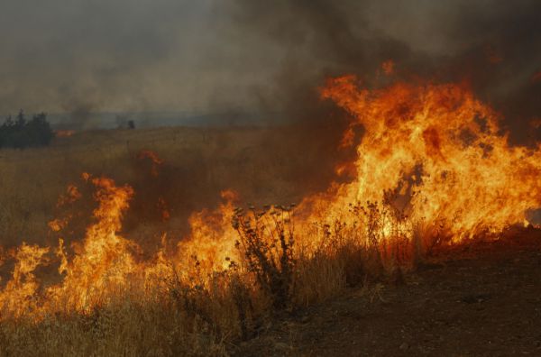 לא רק בדרום: חיזבאללה החלו בטרור הצתות בצפון