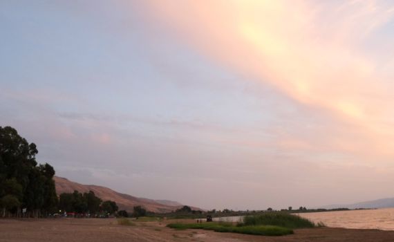 חופי "גופרה" ו"לבנון" בכנרת אסורים לרחצה