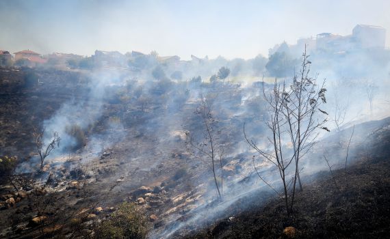 שריפה ביער בית שמש: הכנות לפינוי קיבוץ נחשון