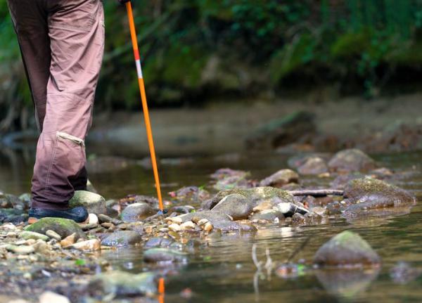 קורס הדרכת טיולים ומסעות בהרצוג  | הירשמו עכשיו