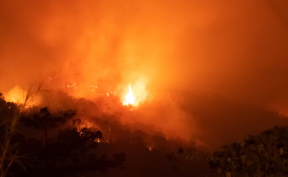 בעקבות השריפות באמזונס: 20 מיליון דולר יועברו לסיוע