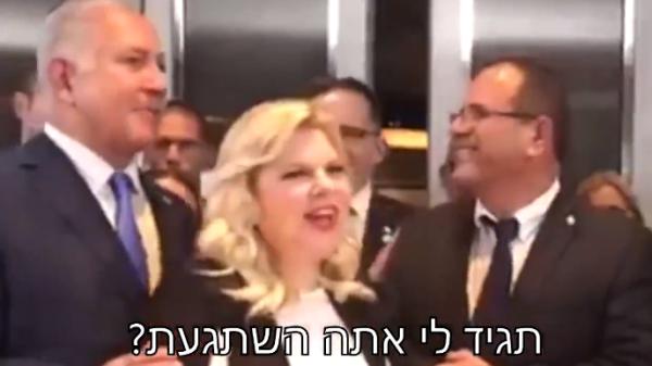 "איוב אתה השתגעת?" צפו ברמיקס של נוי אלוש: