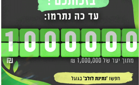 מיזם נתינת לולב הגיע להישג מטורף | כך תצטרפו