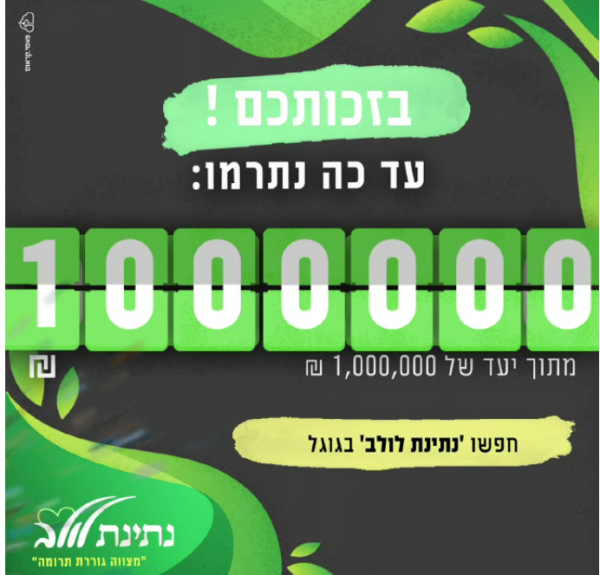 מיזם נתינת לולב הגיע להישג מטורף | כך תצטרפו