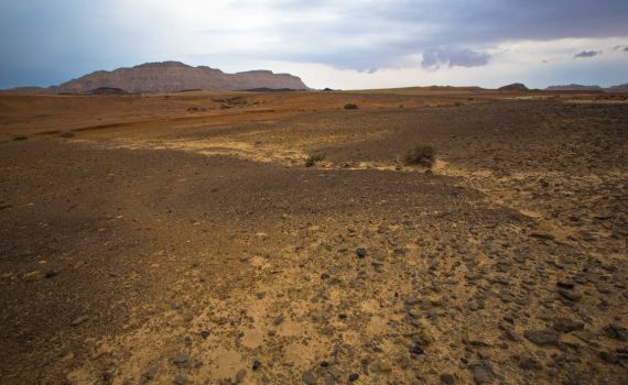 טרגדיה: צעירה נהרגה כשנפלה מגובה במצפה רמון
