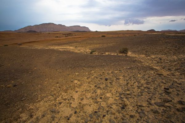 טרגדיה: צעירה נהרגה כשנפלה מגובה במצפה רמון