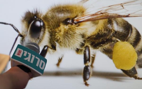 בלעדי: ראיון חג מיוחד לראש השנה עם דבורה