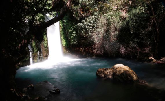 לפני חופשת החגים: הנחלים הפופולריים נסגרו לרחצה