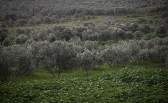 תחזית מזג האוויר לשבת ולראש השנה