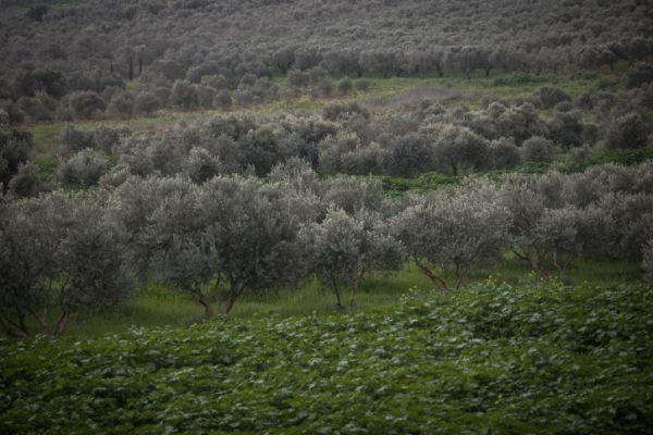 תחזית מזג האוויר לשבת ולראש השנה