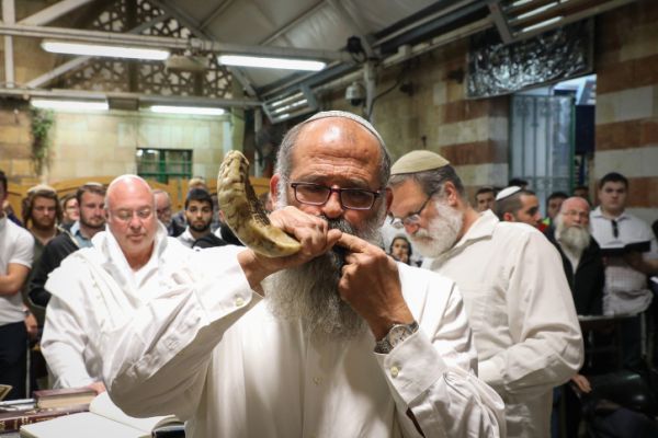 הימים הנוראים בפתח, אז שלא נהיה חמורים