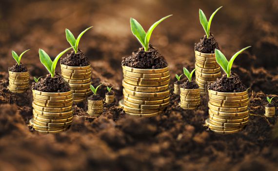 שנחתם בספר פרנסה וכלכלה: 10 צעדים כלכליים לשנה החדשה