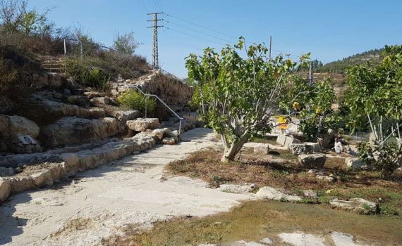 הגן הלאומי עין חניה בירושלים יפתח בחוה"מ סוכות