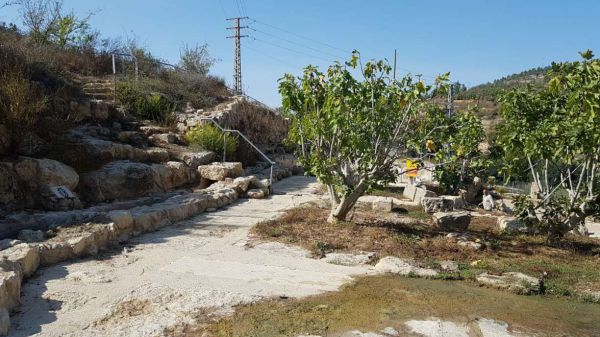 הגן הלאומי עין חניה בירושלים יפתח בחוה"מ סוכות