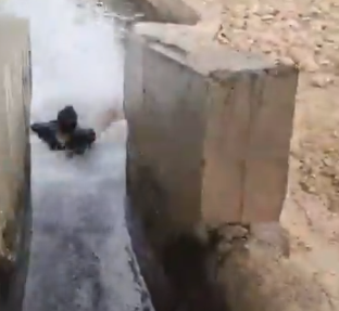 צפו: חבר הכנסת מתן כהנא גולש בעוג'ה