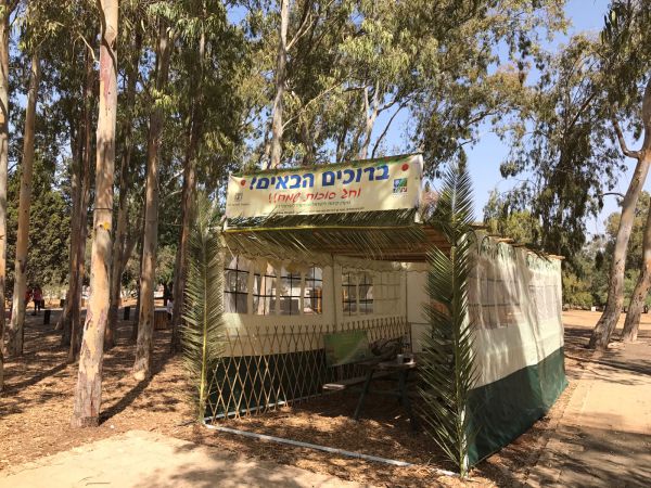 קק"ל עושה לכם סוכות מעבר לכל דמיון