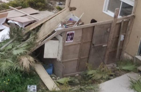 נזקי מזג האוויר: עשרות סוכות התפרקו ונהרסו