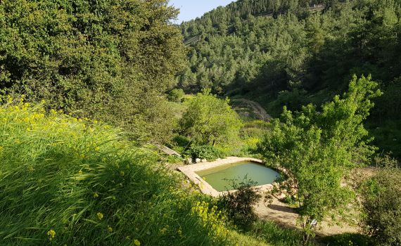 חוה"מ סוכות בגוש עציון: חוויות אקסטרים ייחודיות