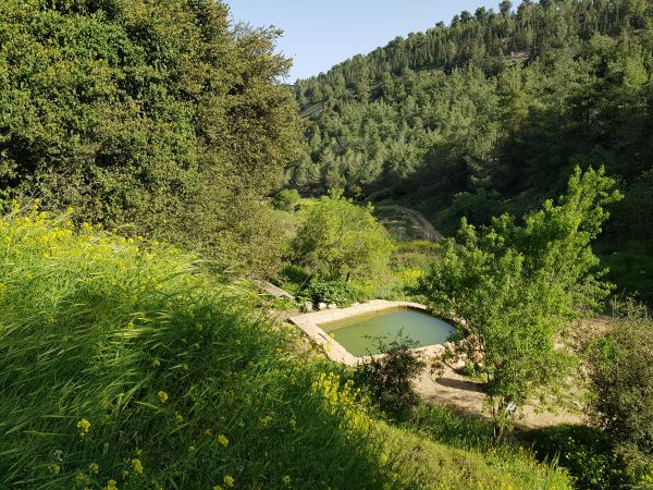 חוה"מ סוכות בגוש עציון: חוויות אקסטרים ייחודיות