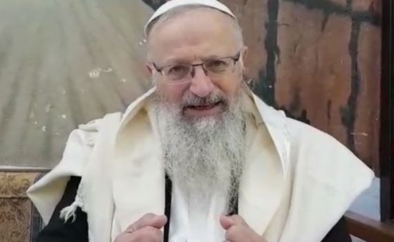 הרב אליהו עושה סדר: כך תאגדו את 4 המינים. צפו