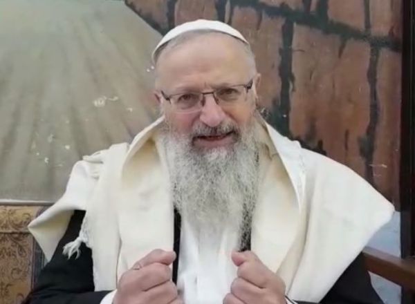 הרב אליהו עושה סדר: כך תאגדו את 4 המינים. צפו