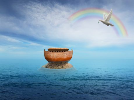 הדברים שאתם משתמשים בהם ולא ידעתם שנח המציא