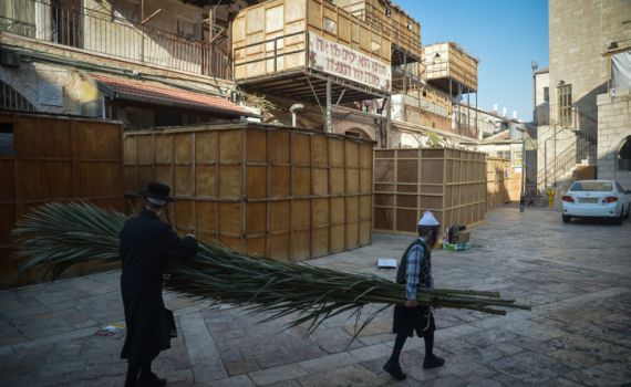 קצר וקולע: שו"ת מקיף ומקוצר לבניית הסוכה