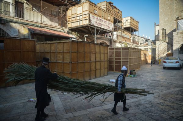 קצר וקולע: שו"ת מקיף ומקוצר לבניית הסוכה