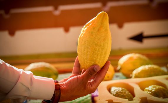 'הארץ': החילונים חייבים להתקומם נגד חודש תשרי המטורלל